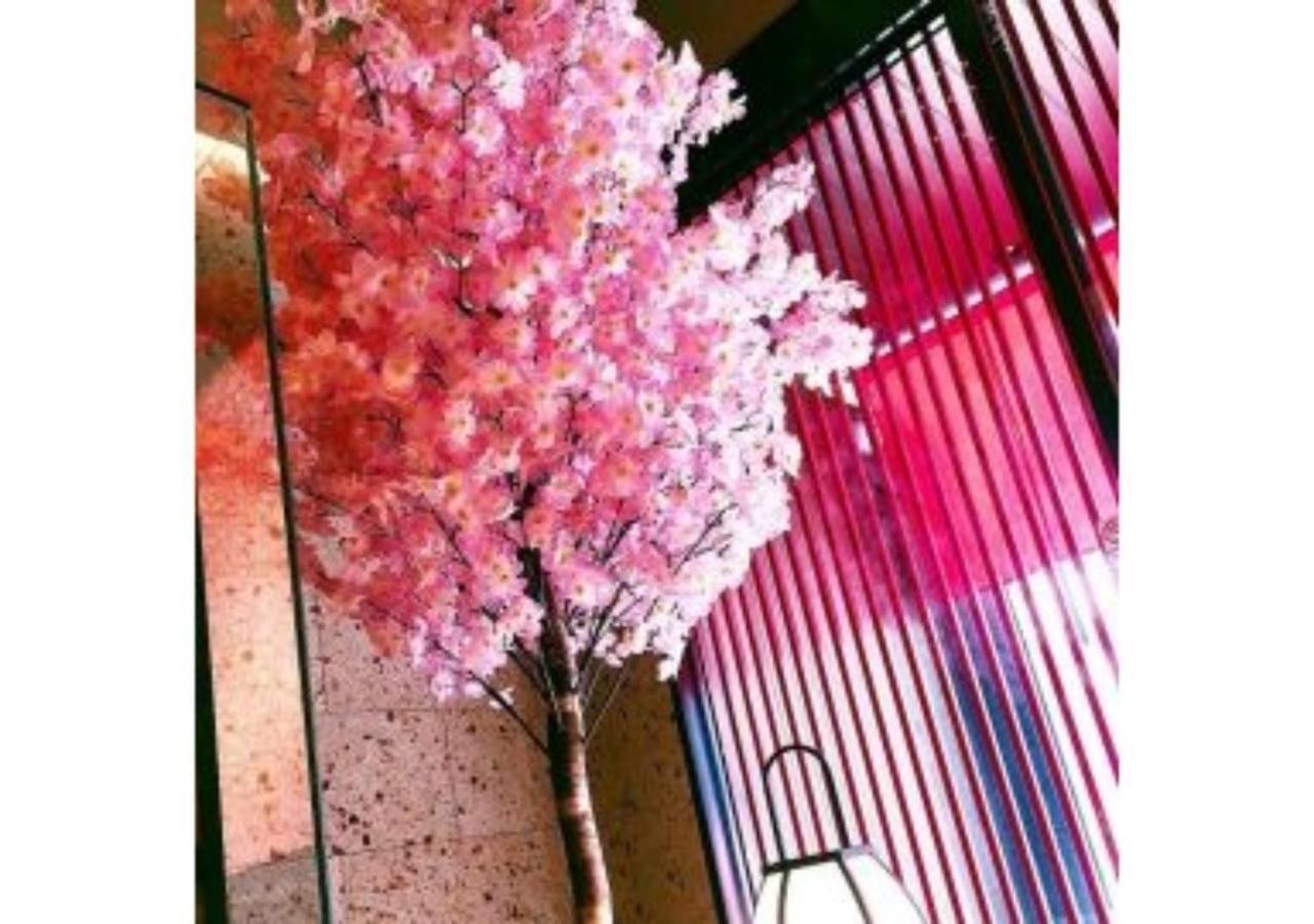 Sakura Sky - Vacation 18445v Tokyo
