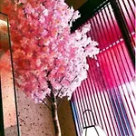 Sakura Sky Hotel - Vacation Stay 18445V