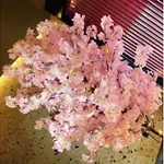 Sakura Sky Hotel - Vacation Stay 18445V