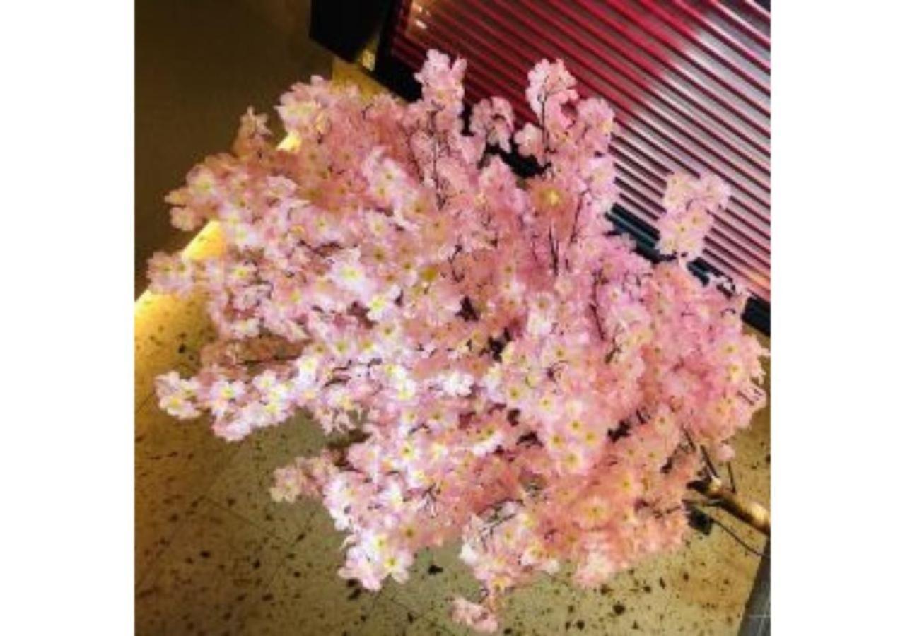 Sakura Sky - Vacation 18445v Hotel *
